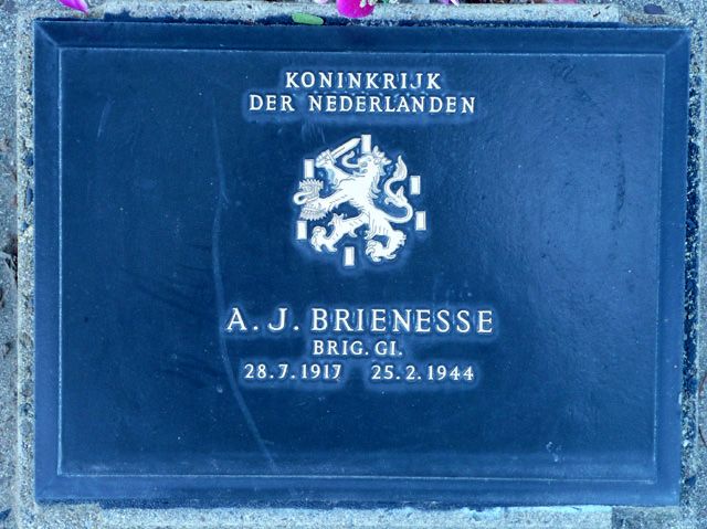 Brienesse.A.J.2008.jpg