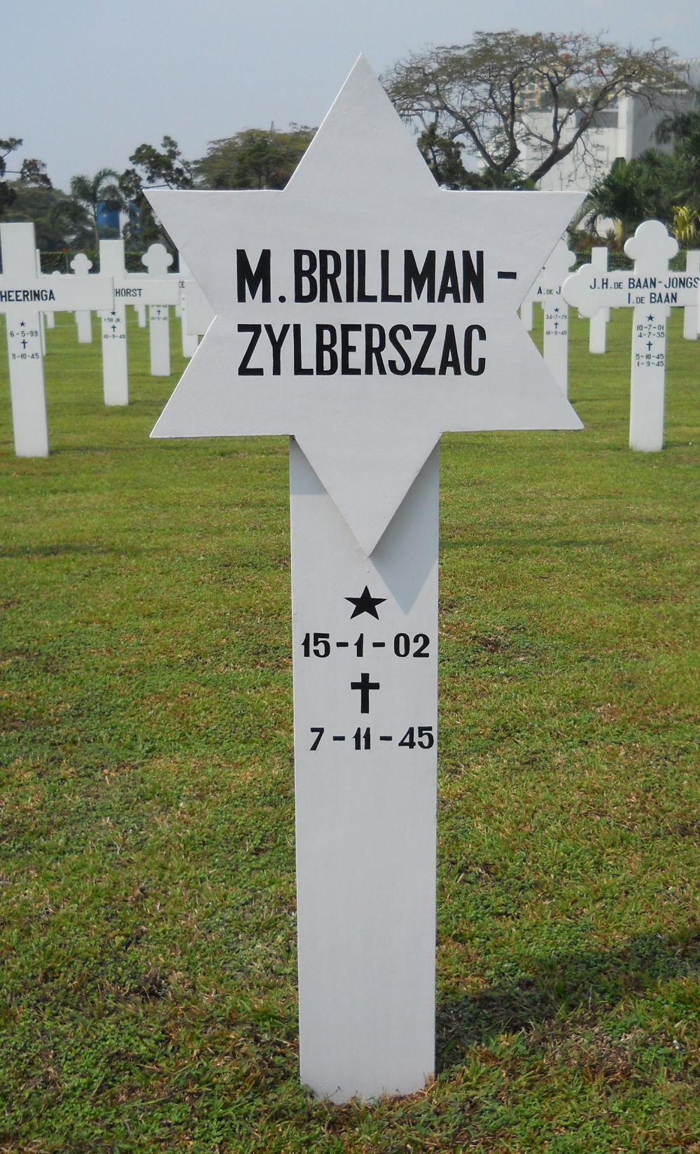 Brillman-Zylberszac.m..jpg