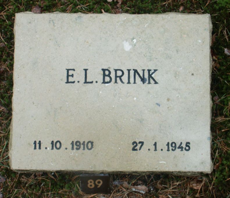 brink.e.l.jpg