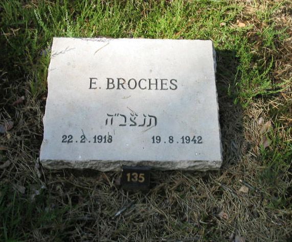 E.Broches.jpg