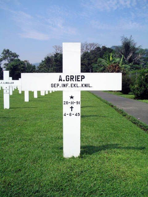 griep.a.2005.jpg