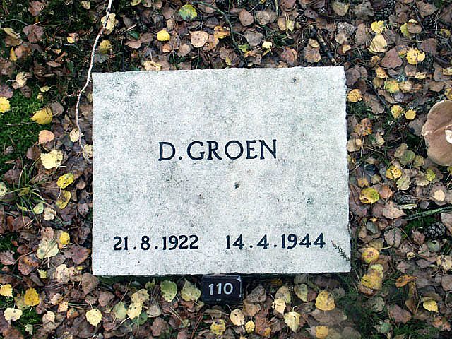 groen.d.2005.jpg