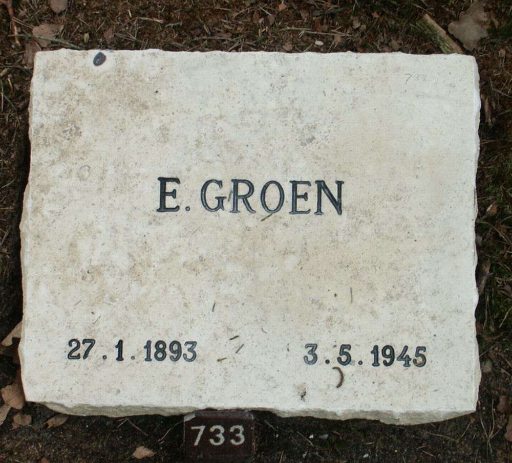 groen.e.2006.jpg
