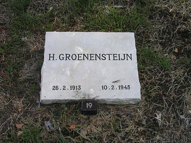 H.Groenensteijn.jpg