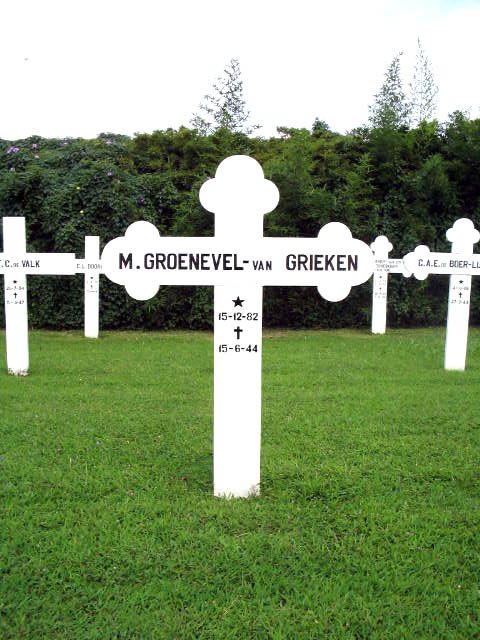 groenevel.grieken.van.m.2005.jpg