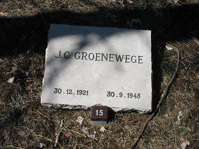 054029(1).JPG