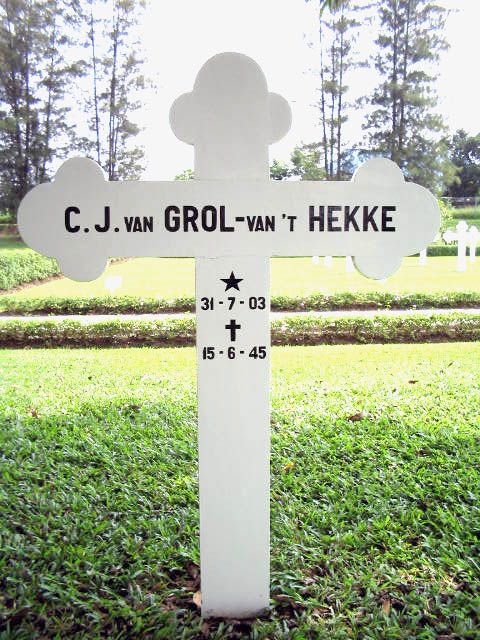 grol hekke van t.c.j.2004.jpg