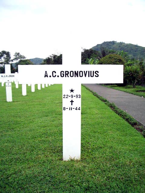 gronovius.a.c.2005.jpg