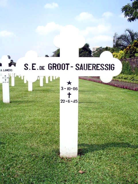 groot.de.saueressig.s.e.2005.jpg