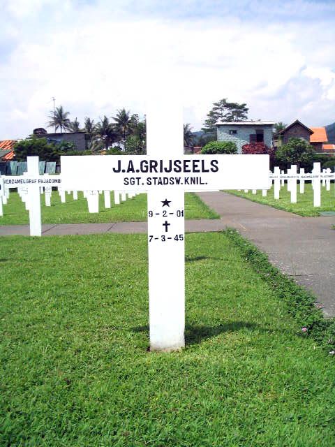 grijseels.j.a.2005.jpg
