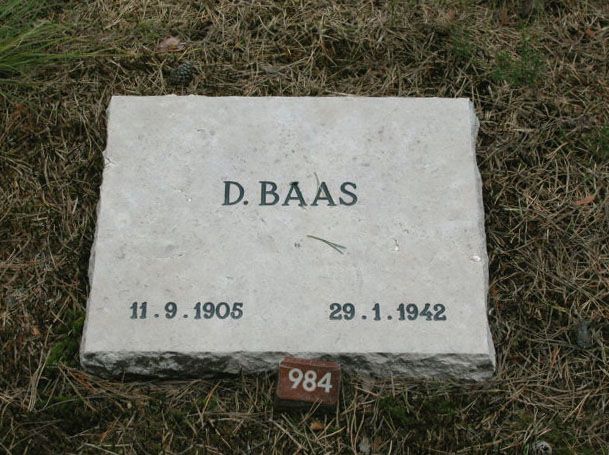 D.Baas.jpg