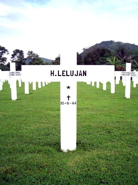 lelujan.h.2005.jpg