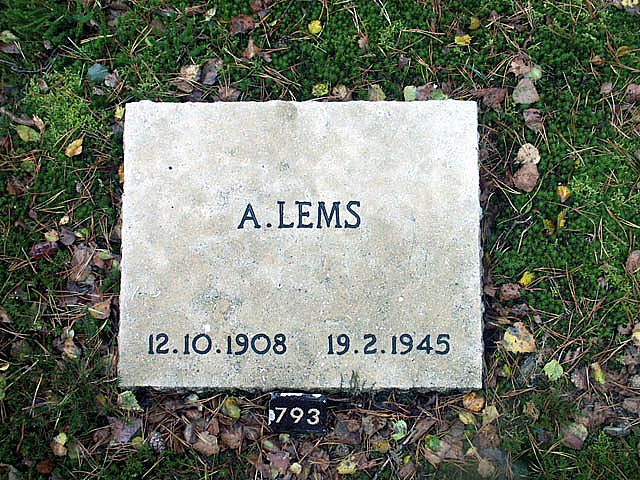 lems.a.2005.jpg