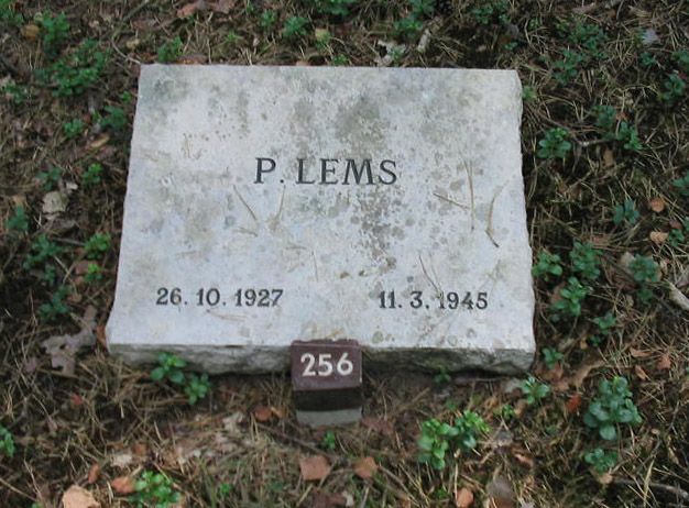 P.Lems.jpg