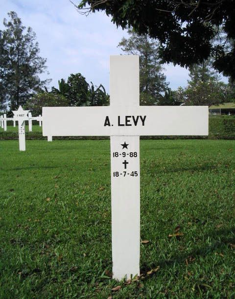 levy a.jpg