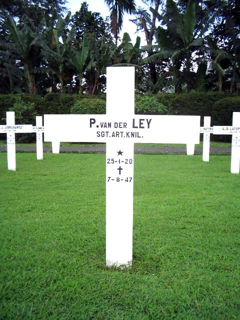 ley.v.der.p.2005.jpg