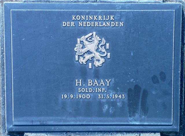 Baay.H.2008.jpg
