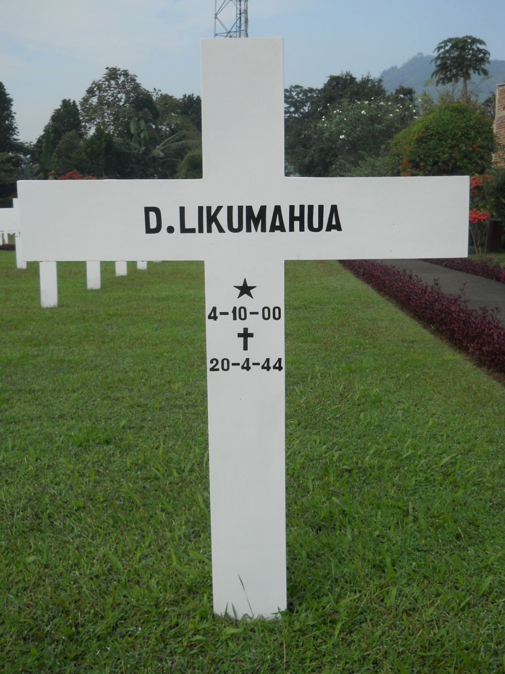 likumahua.d.jpg
