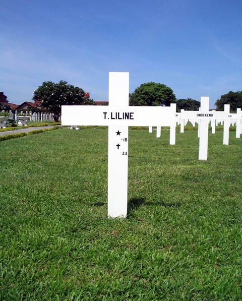 liline.t.2005.jpg