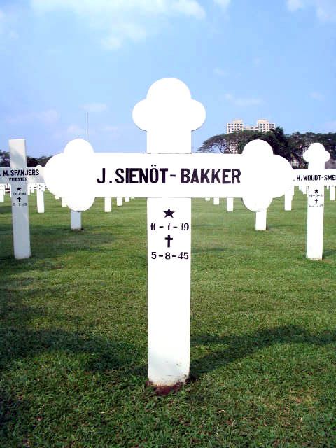 sienot.bakker.j.2005.jpg