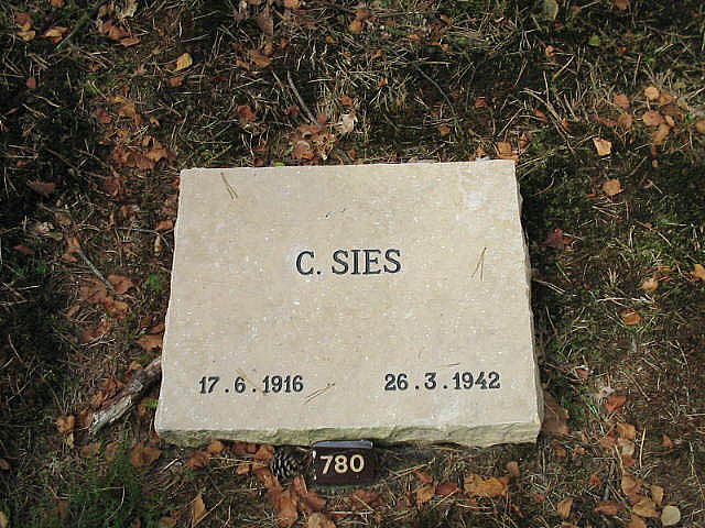 C.Sies.jpg