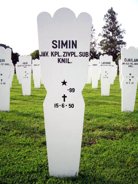 simin.2004.jpg