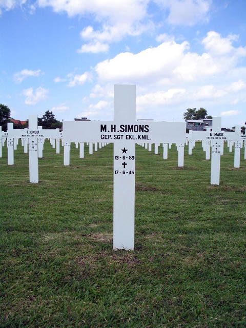 simons.m.h.2005.jpg