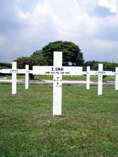 sinay.e.2005.jpg