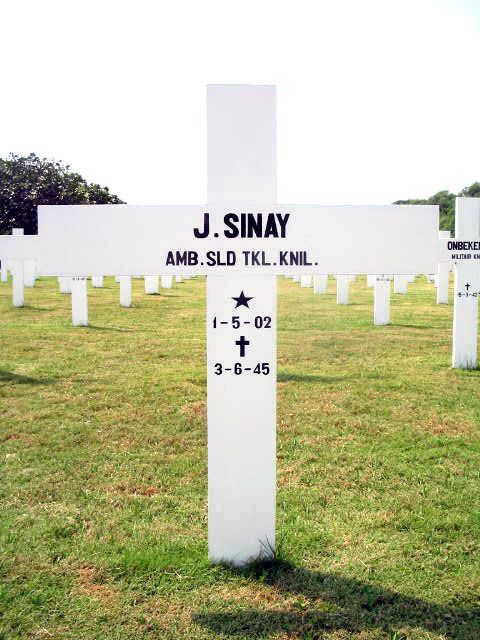 sinay.j.2005(1).jpg
