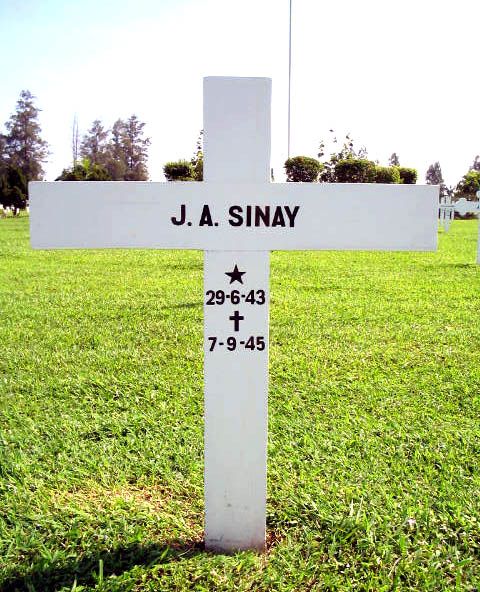sinay j.a.2004.jpg