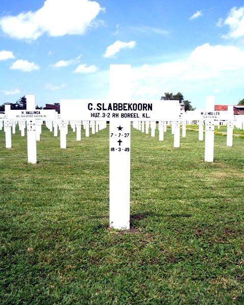 slabbekoorn.c.2005.jpg