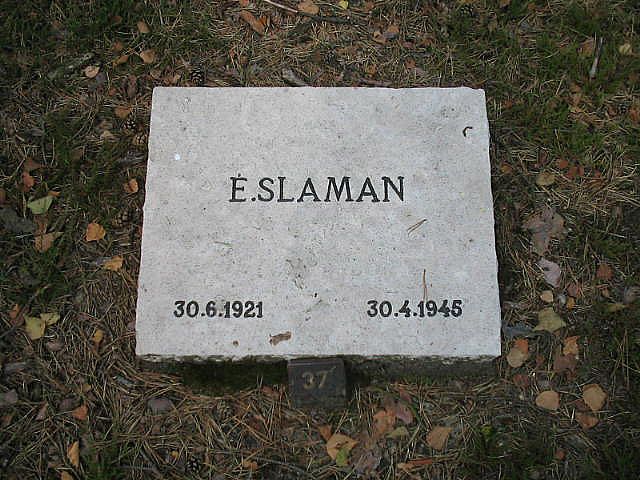 E.Slaman.jpg