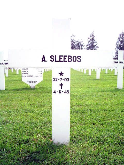 sleebos.a.2005(1).jpg