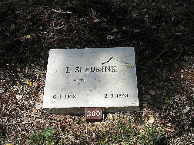 L.Sleurink.jpg