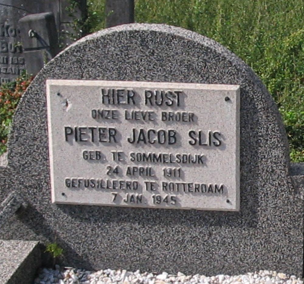 slis.p.j..jpg