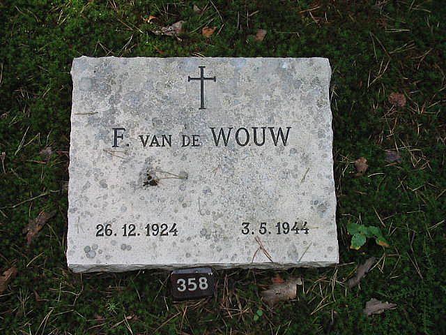 175007.jpg
