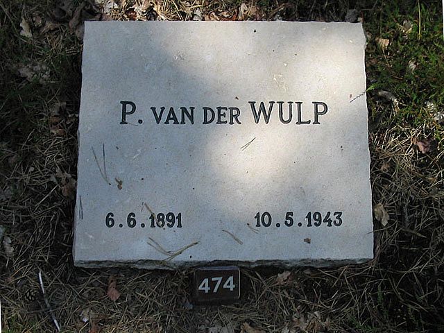 P.v.der Wulp.jpg