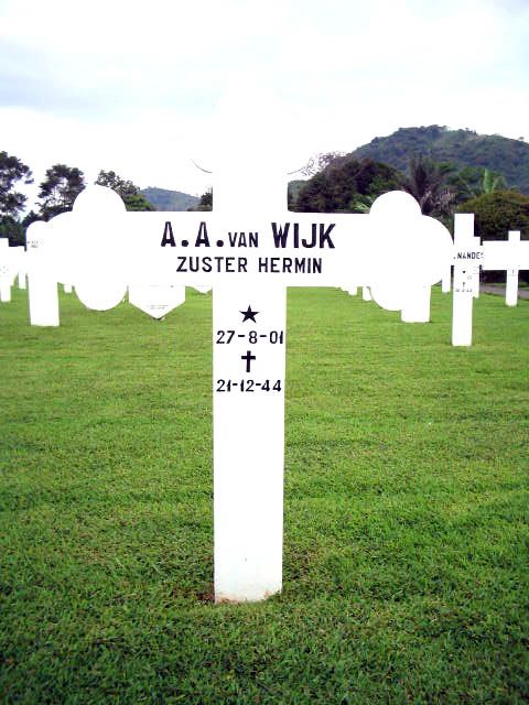 wijk.van.a.a.2005.jpg