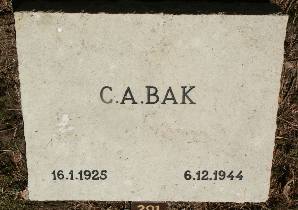 bak.c.a.jpg