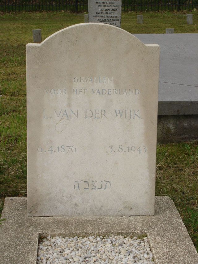 wijk.l.vander.2008.jpg
