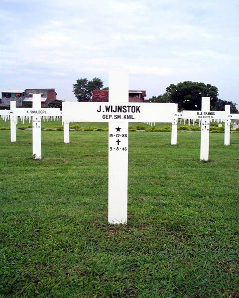 wijnstok.j.2005.jpg