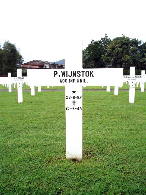 wijnstok.p.2005.jpg