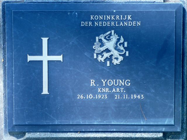Young.R.2008.jpg
