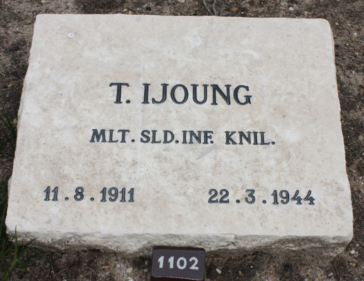 ijong.t.2009.jpg