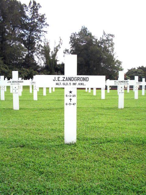 zangrond.j.e.2005.jpg