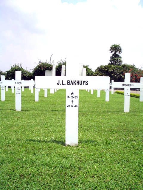 bakhuys.j.l.2005.jpg