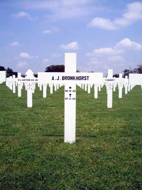 bronkhorst.a.j.2005.jpg