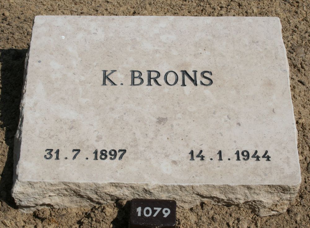 brons.k.2009.jpg