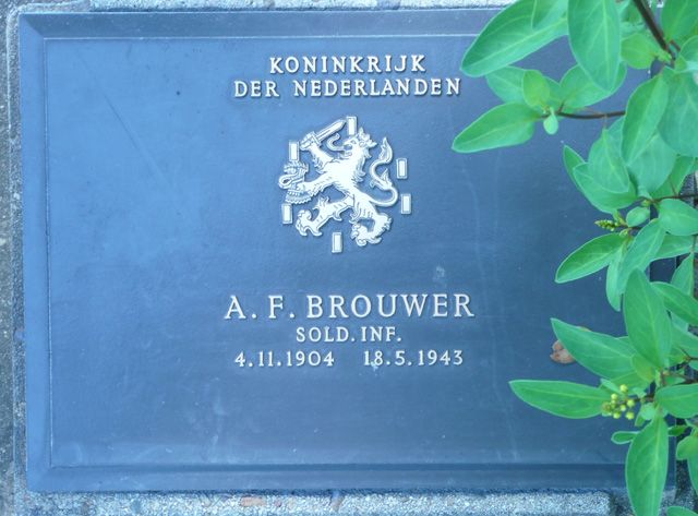 Brouwer.A.F.2008.jpg