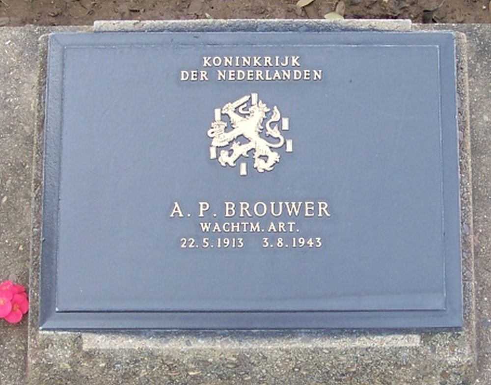 Brouwer a.p.jpg